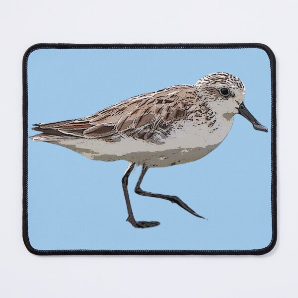 Item preview, Spoon-billed Sandpiper Color Design  designed and sold by designsasstultd.