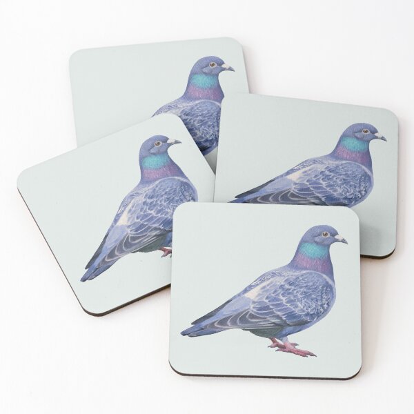 Item preview, Rock Pigeon painting (no background) designed and sold by Emily Bickell.