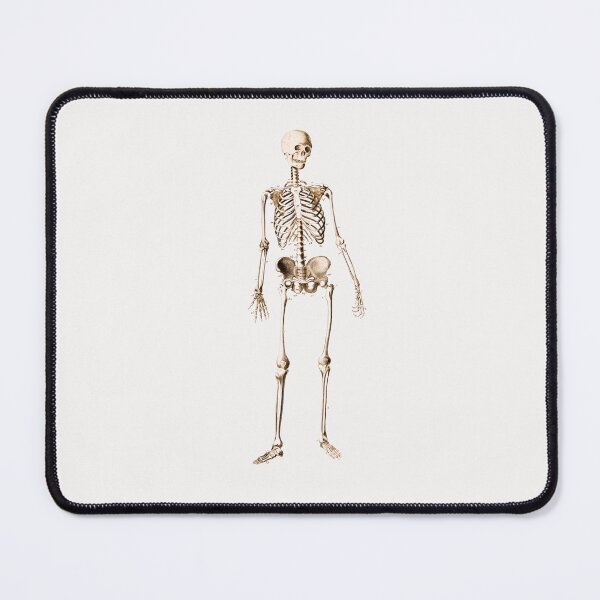 Item preview, Skeleton designed and sold by VintageArtByIda.