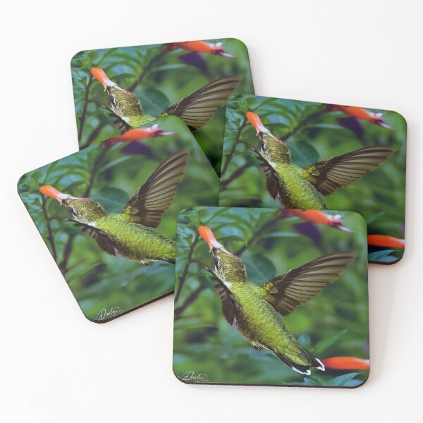 Item preview, colibrí designed and sold by firstlightdawn.