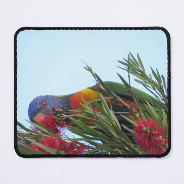 Item preview, Cheeky rainbow lorikeet designed and sold by Joannaholman.