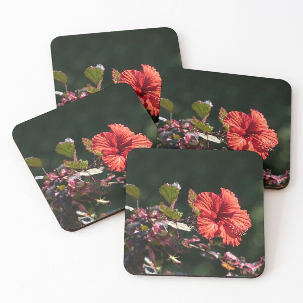Item preview, Bold Red Hibiscus with Cool Variegated Foliage designed and sold by Georgia Mizuleva.
