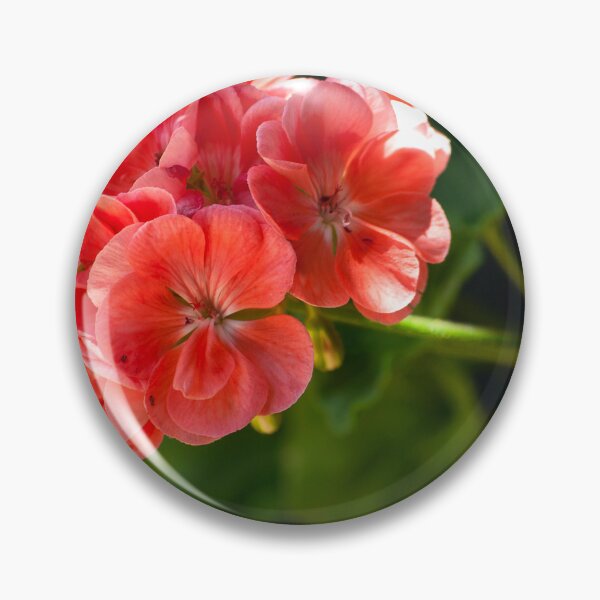 Item preview, Peach Geranium designed and sold by K D Graves Photography.