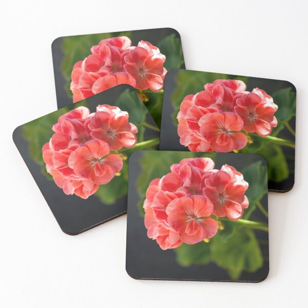 Item preview, Peach Geranium designed and sold by K D Graves Photography.
