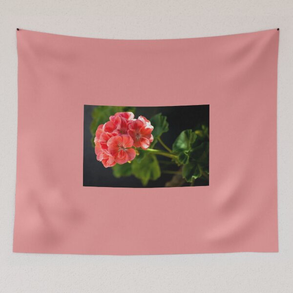 Item preview, Peach Geranium designed and sold by K D Graves Photography.