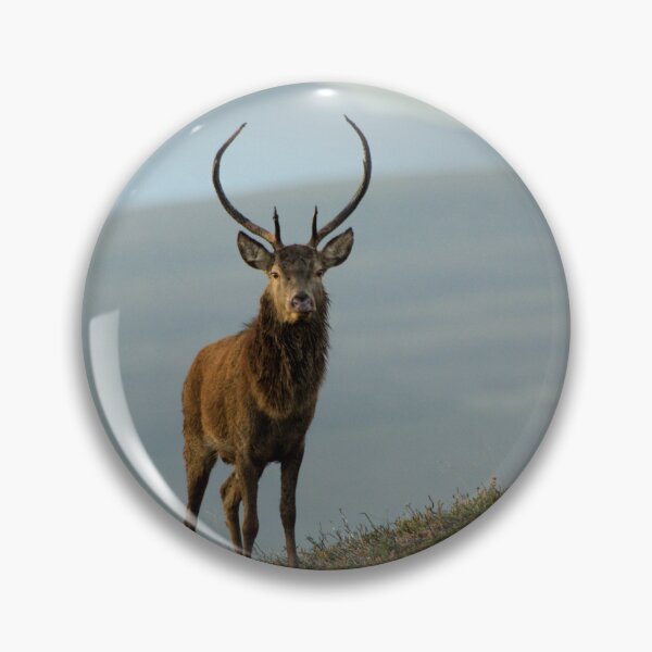 Item preview, Red Deer Stag designed and sold by Macrae images.