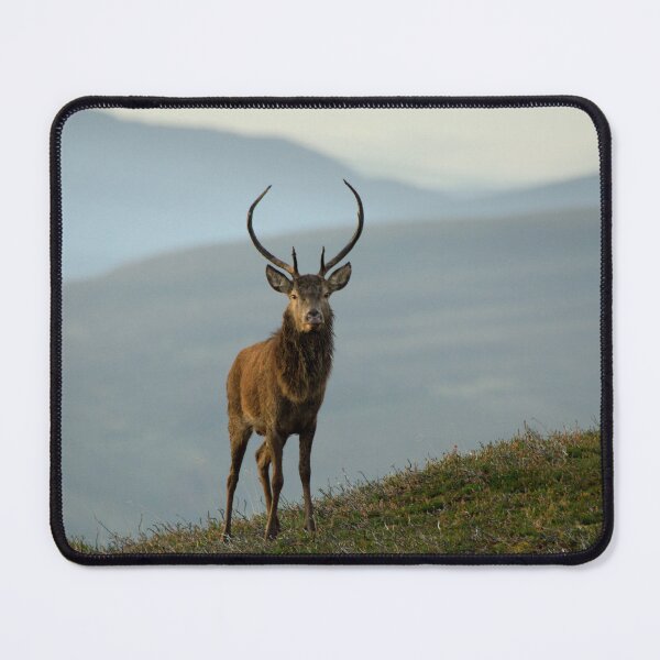 Item preview, Red Deer Stag designed and sold by Macrae images.
