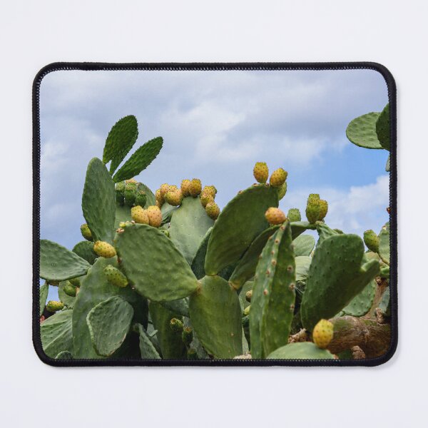 Item preview, Prickly pear of Cefalu designed and sold by Dreamscape Eclectic .