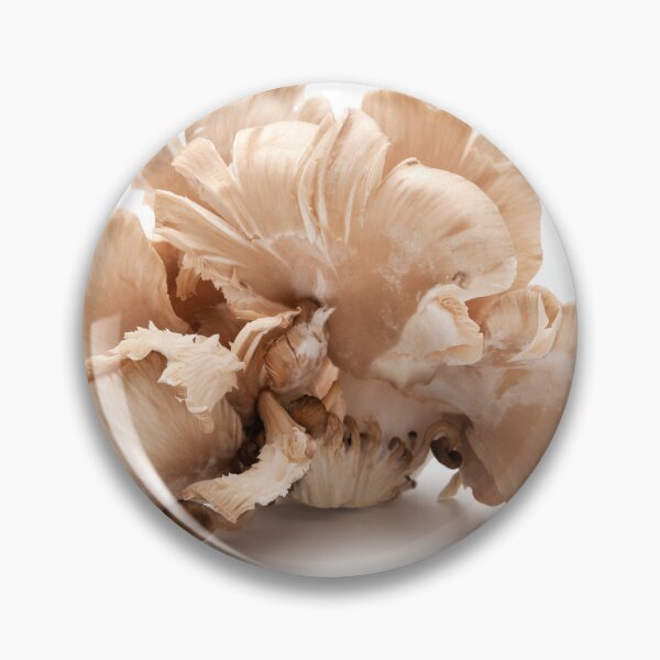 Item preview, Oyster mushroom designed and sold by troianifabrizio.