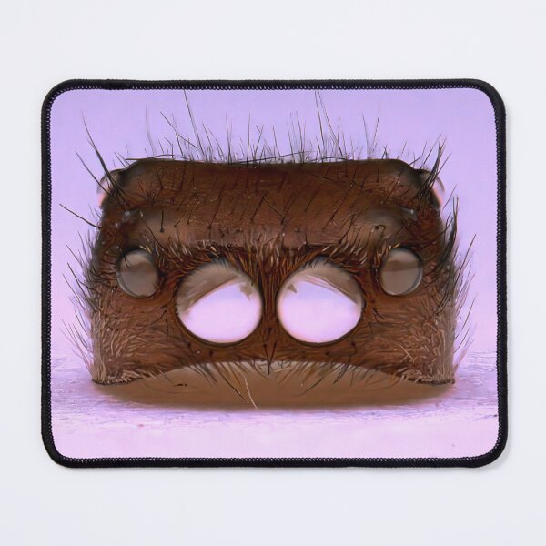 Item preview, Jumping Spider Helmet: Nature's Intriguing Beauty designed and sold by Reaver666.