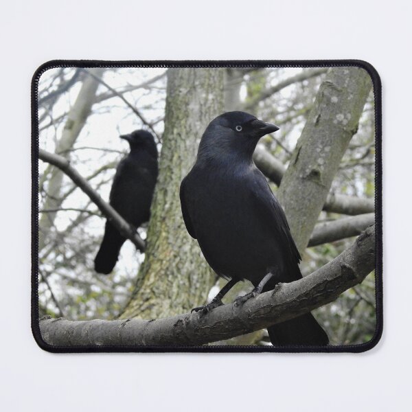 Item preview, BLACK IS BEAUTIFUL 3 designed and sold by NatureWatch10.