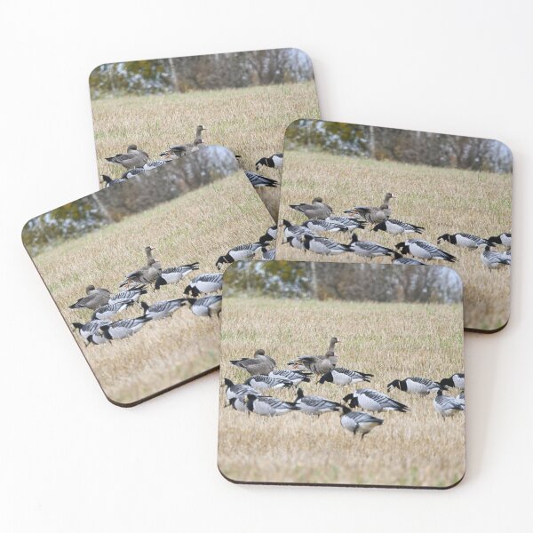 Item preview, Far Cousins. Barnacle goose and Greater White-fronted Goose designed and sold by Jouko Lehto Photography.