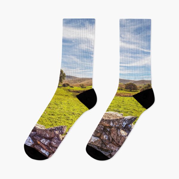Item preview, Newbiggin On Lune, Eden Valley, Yorkshire Dales, England designed and sold by Paul Thompson Photography.