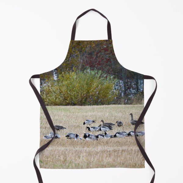 Item preview, On the fields. Barnacle goose and Greater White-fronted Goose designed and sold by Jouko Lehto Photography.