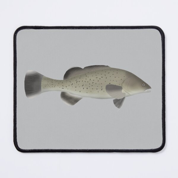 Item preview, Trout Cod designed and sold by fishfolkart.