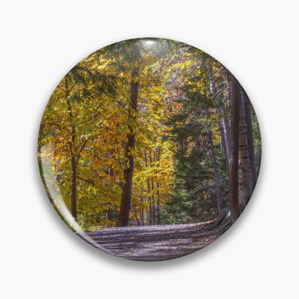Item preview, Autumn Colors in Hemlock Ravine Park designed and sold by kenmo.