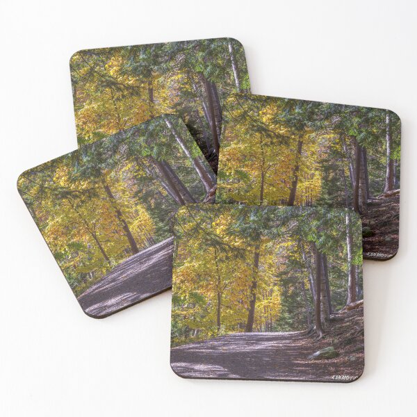 Item preview, Autumn Colors in Hemlock Ravine Park designed and sold by kenmo.