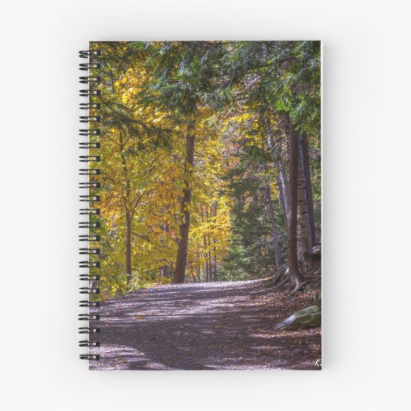 Item preview, Autumn Colors in Hemlock Ravine Park designed and sold by kenmo.