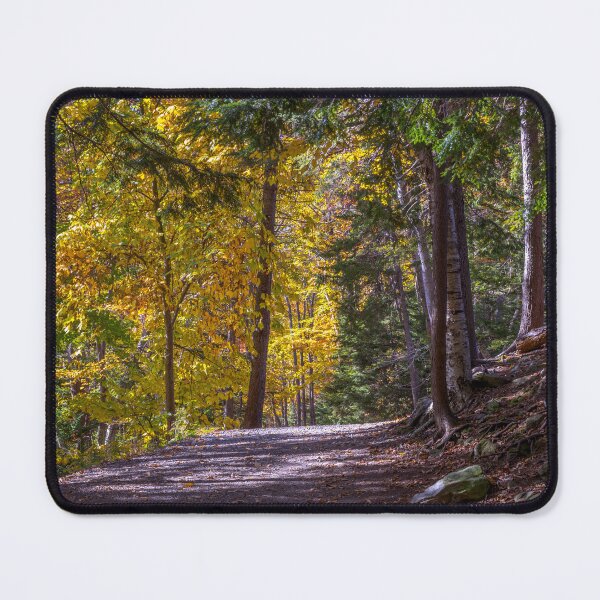 Item preview, Autumn Colors in Hemlock Ravine Park designed and sold by kenmo.