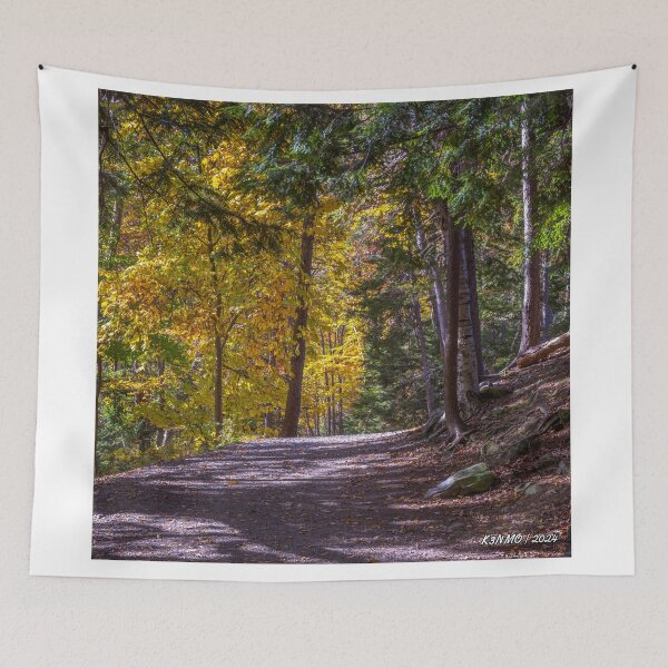 Item preview, Autumn Colors in Hemlock Ravine Park designed and sold by kenmo.