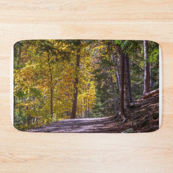 Item preview, Autumn Colors in Hemlock Ravine Park designed and sold by kenmo.