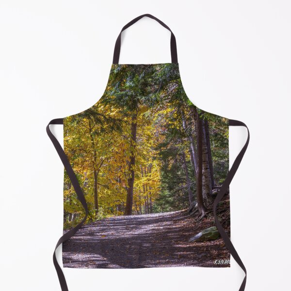 Item preview, Autumn Colors in Hemlock Ravine Park designed and sold by kenmo.