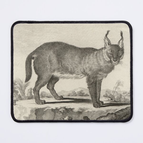 Item preview, 18th C. The Caracal designed and sold by historicimage.