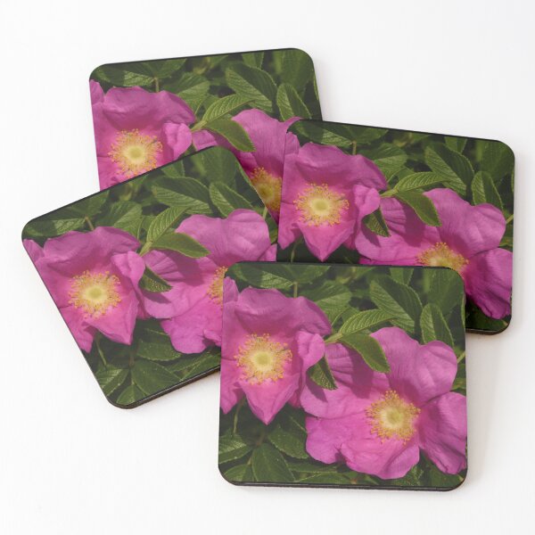 Item preview, Beach Rose Photo  designed and sold by My Blue Mind Art.