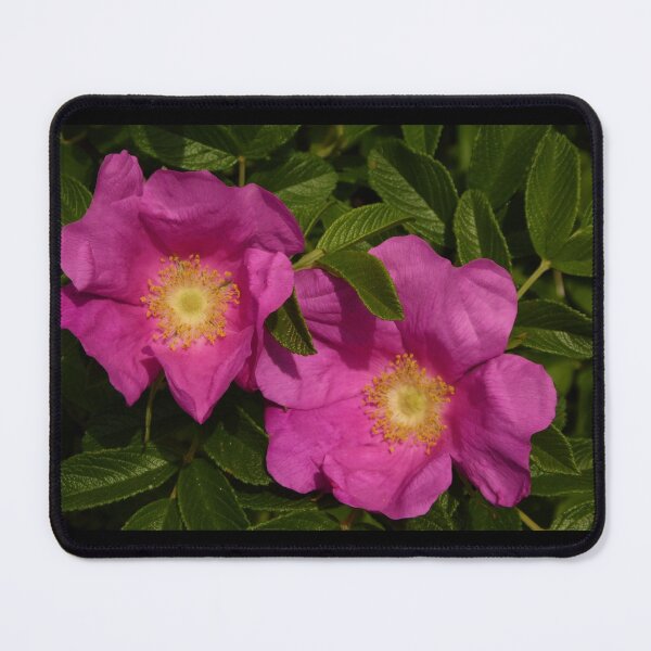 Item preview, Beach Rose Photo  designed and sold by My Blue Mind Art.