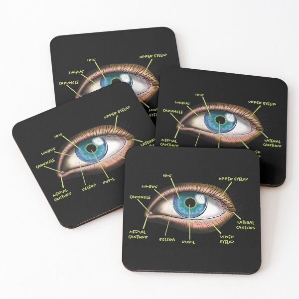 Item preview, Anatomical Eye Diagram, Illustrates Iris, Limbus, Caruncle, Medial Canthus, Sclera, Pupil, Lateral Canthus, Upper Eyelid, Lower Eyelid designed and sold by mermaidronnie.