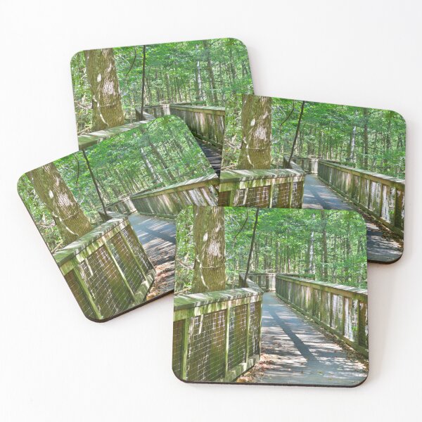 Item preview, Walking Through Congaree National Park South Carolina designed and sold by LisaWootenPhoto.