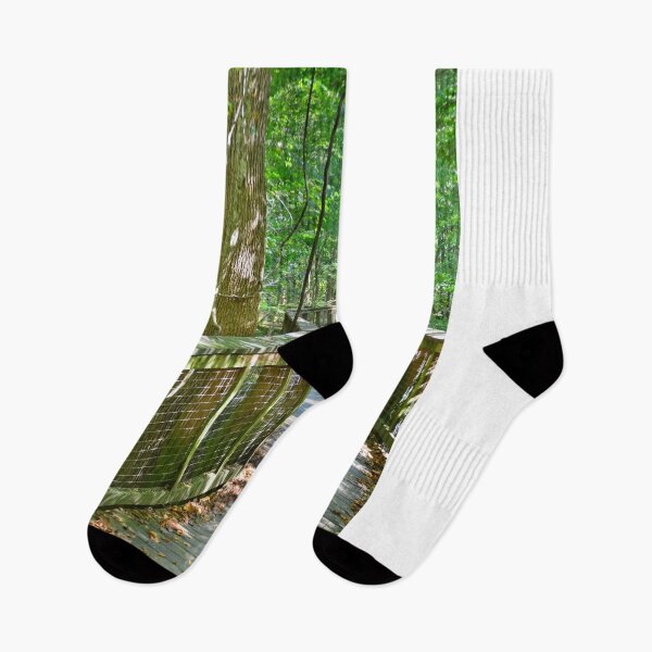 Item preview, Walking Through Congaree National Park South Carolina designed and sold by LisaWootenPhoto.