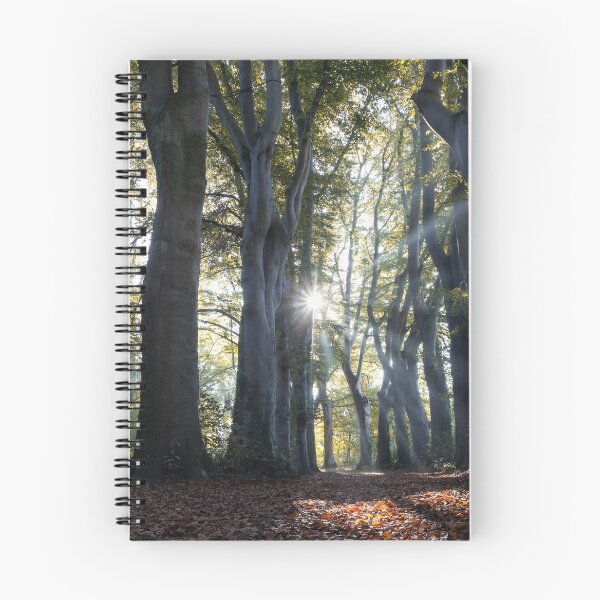Item preview, Ancient Beech Trees in Autumn, Belgium designed and sold by Imladris01.