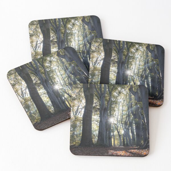 Item preview, Ancient Beech Trees in Autumn, Belgium designed and sold by Imladris01.