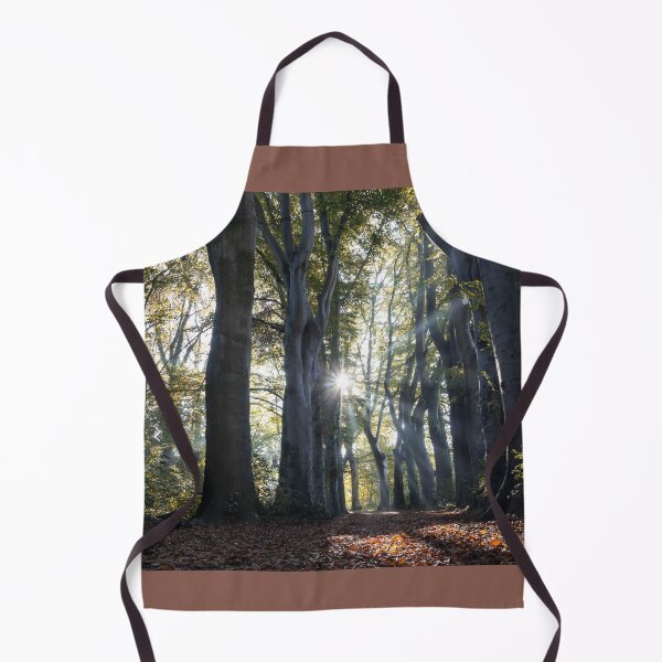 Item preview, Ancient Beech Trees in Autumn, Belgium designed and sold by Imladris01.