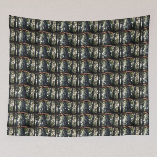 Item preview, Ancient Beech Trees in Autumn, Belgium designed and sold by Imladris01.