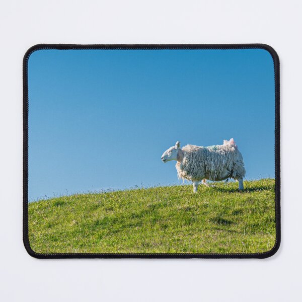 Item preview, Lonely sheep on the hill designed and sold by Pascal-F.