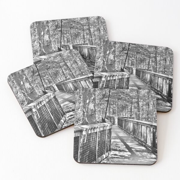 Item preview, Walking Through Congaree National Park South Carolina Black And White designed and sold by LisaWootenPhoto.