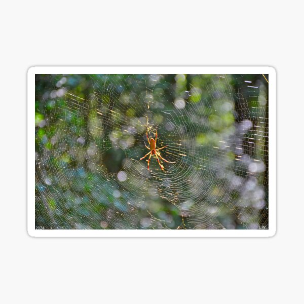 Item preview, Golden Orb-Weavers designed and sold by LisaWootenPhoto.