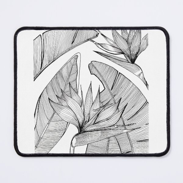 Item preview, Strelitziae designed and sold by Onyria Art.