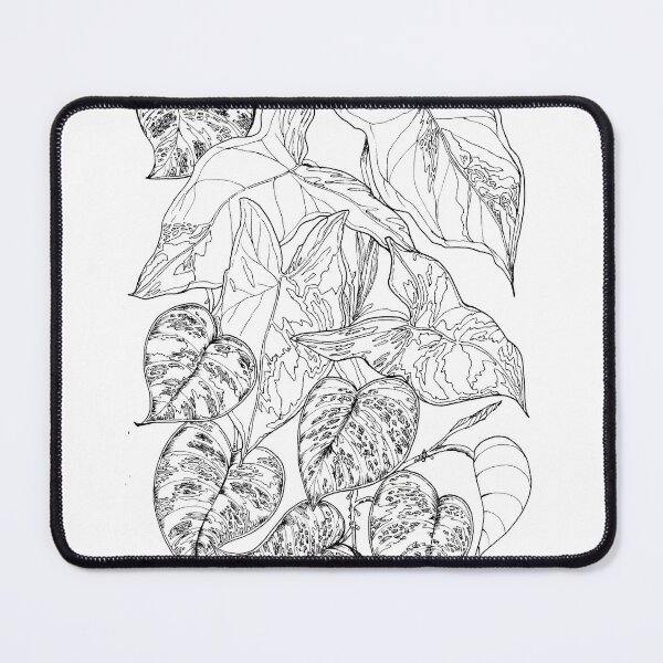 Item preview, Syngoniums and pothos designed and sold by Onyria Art.