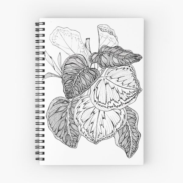 Item preview, Calathea designed and sold by Onyria Art.