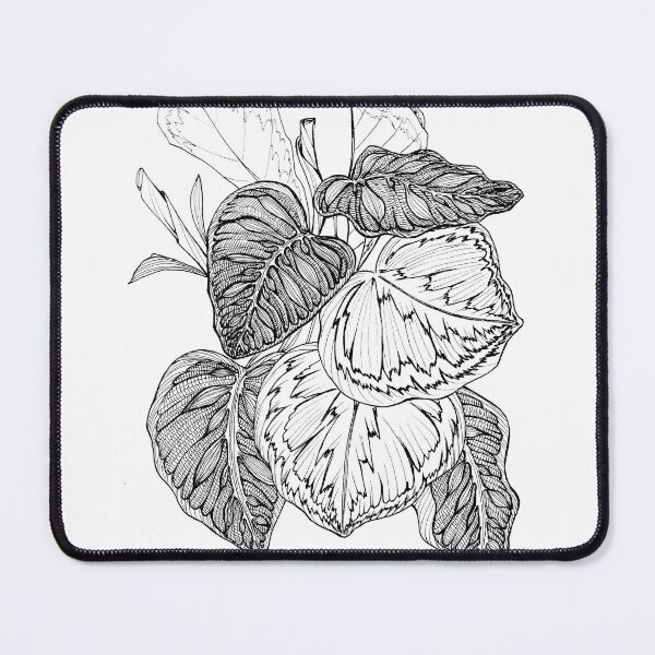 Item preview, Calathea designed and sold by Onyria Art.