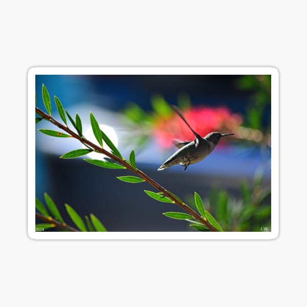 Item preview, Hummingbird In Flight designed and sold by LisaWootenPhoto.