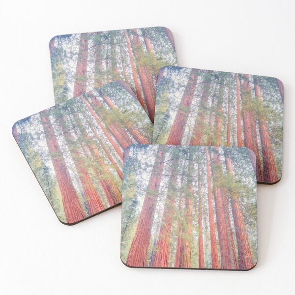 Item preview, Sequoia Forest designed and sold by jvnimages.