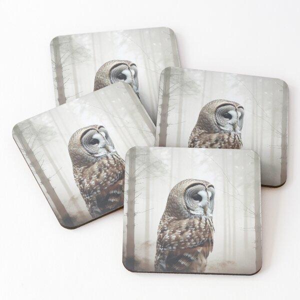 Item preview, Barred owl in enchanted forest designed and sold by snowyowls.