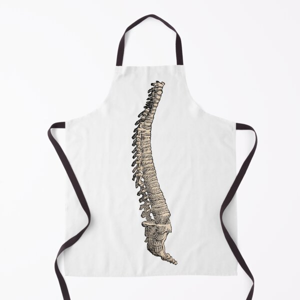Item preview, Vintage Full Spine Anatomy Illustration designed and sold by HawthorneFlame.