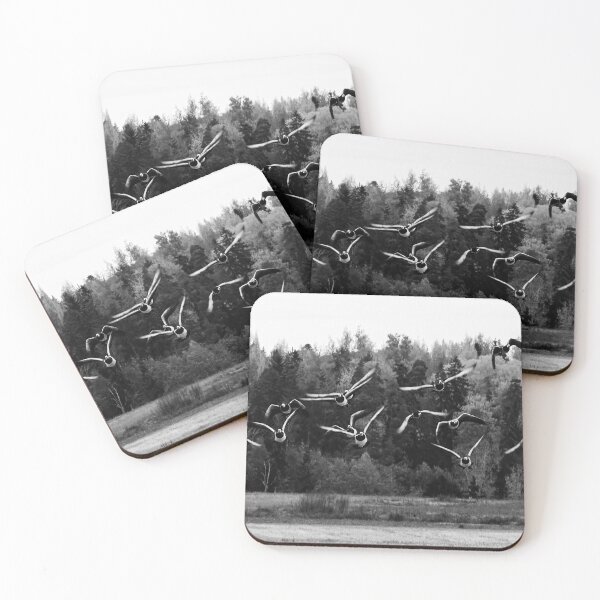 Item preview, They are coming. Barnacle goose bw designed and sold by Jouko Lehto Photography.