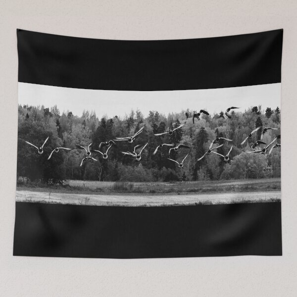 Item preview, They are coming. Barnacle goose bw designed and sold by Jouko Lehto Photography.
