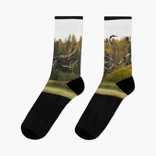 Item preview, They are coming. Barnacle goose designed and sold by Jouko Lehto Photography.